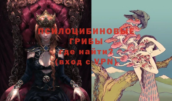 скорость Арсеньев