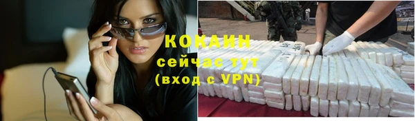 индика Аркадак