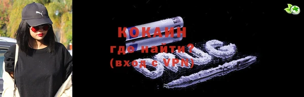 индика Аркадак