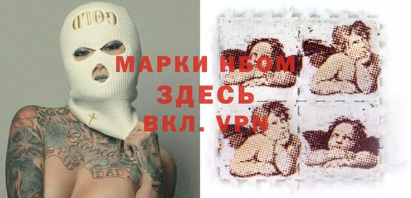 индика Аркадак