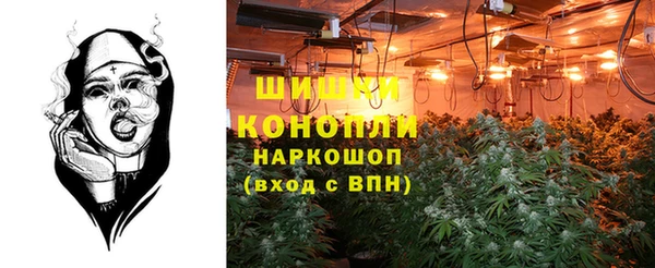 индика Аркадак