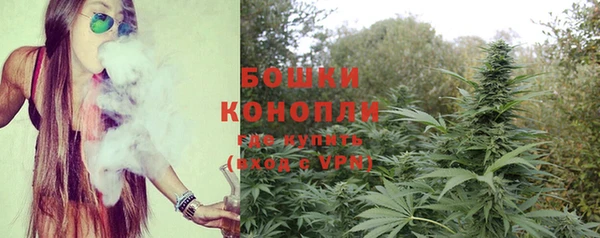 индика Аркадак