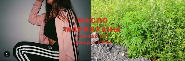 индика Аркадак