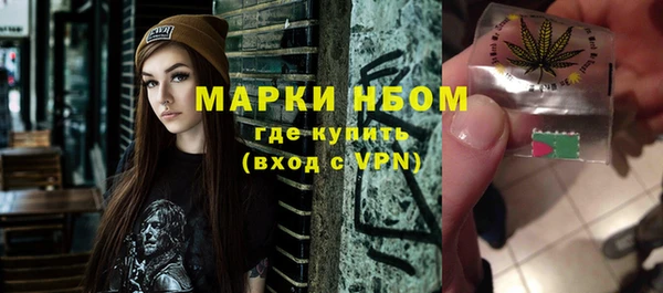 индика Аркадак