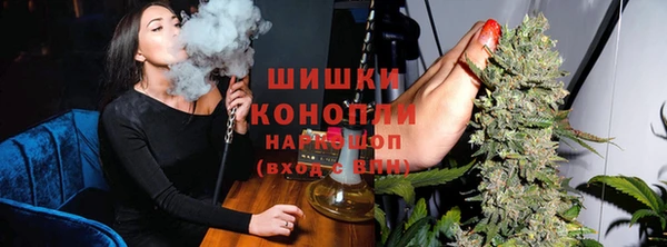 индика Аркадак