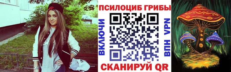 Галлюциногенные грибы Psilocybine cubensis  Салаир 